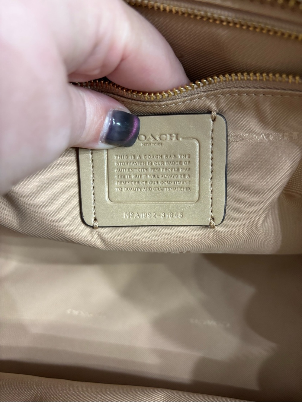 Coach Dreamer 36 in Colorblock with Snake Detail - Picture 11 of 16